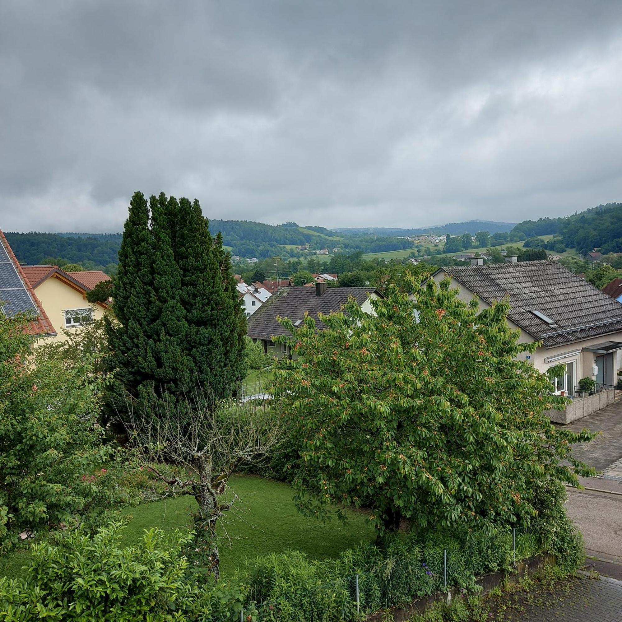 Ferienwohnung Am Berg Wiesent 외부 사진